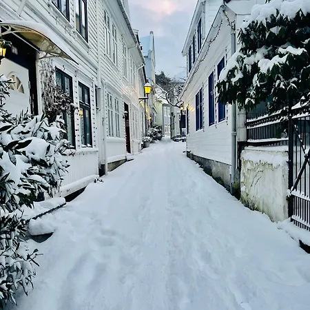 Central Studio Apartment Апартаменты