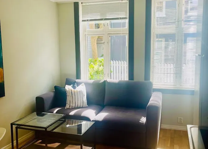 Central Studio Apartment Leilighet *