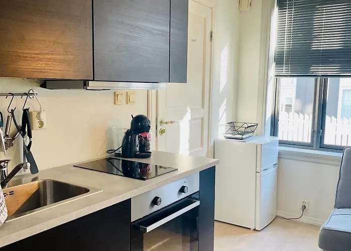 Central Studio Apartment Leilighet Bergen